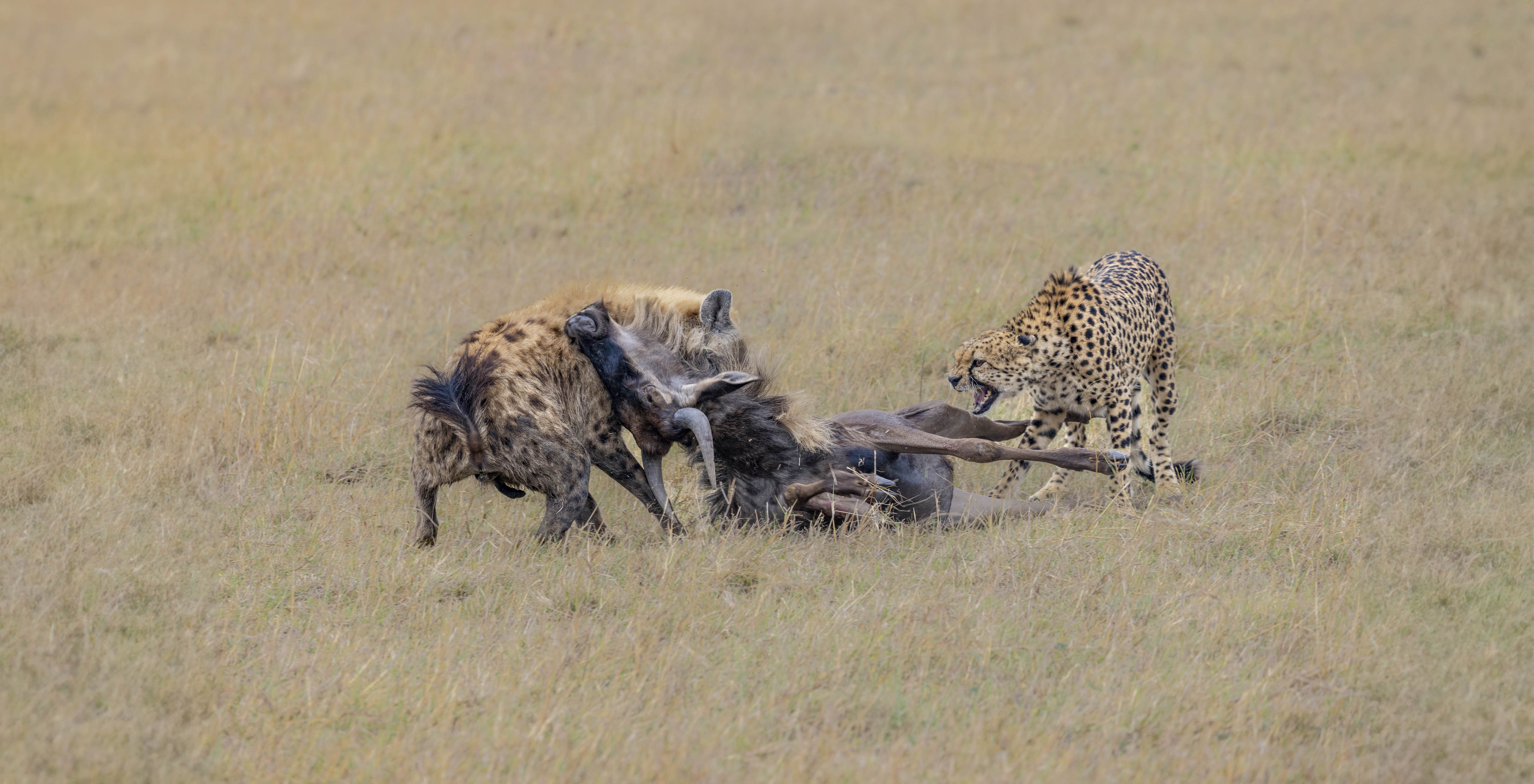 November 12, 2022-112436-8-Edit-Edit.jpg